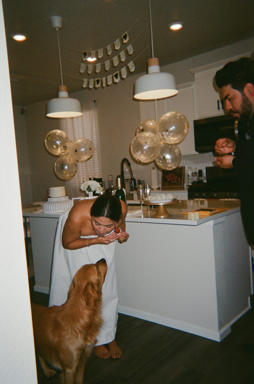 Film photo: the golden retriever wanders the kitchen while the couple toasts