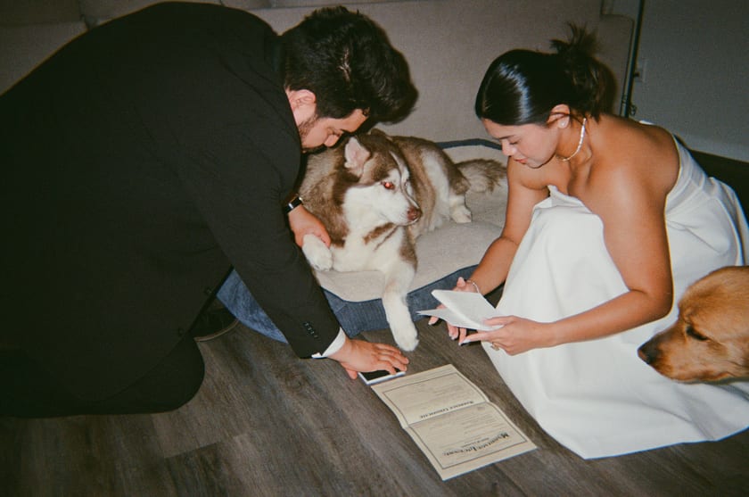 Film photo: the dogs supervise as the marriage license is signed on the floor