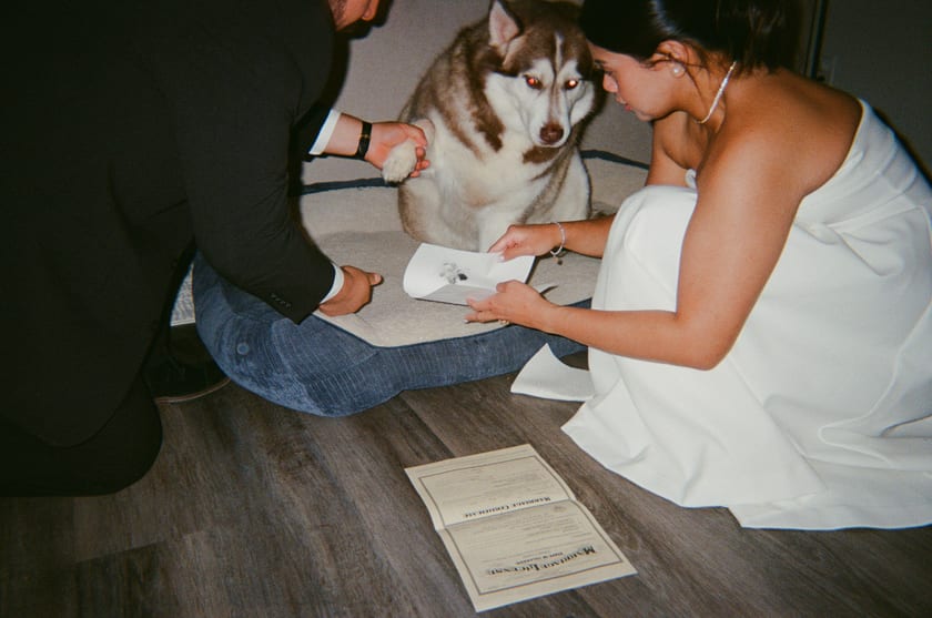 Film photo: pressing the husky's paw to the marriage license — an official witness