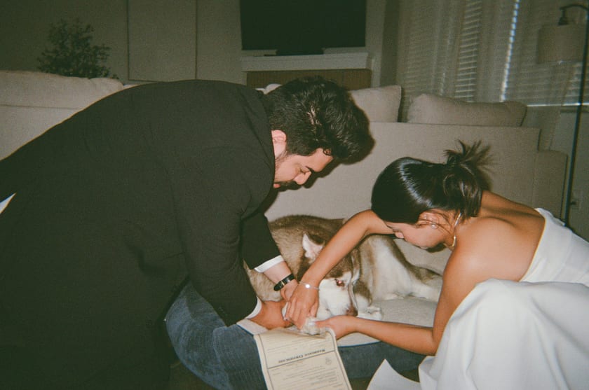 Film photo: signing paperwork on the living-room floor, dogs close by