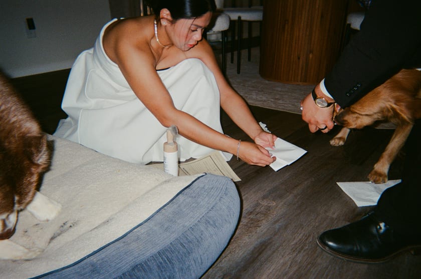 Film photo: inking a paw print onto the license on the dog bed