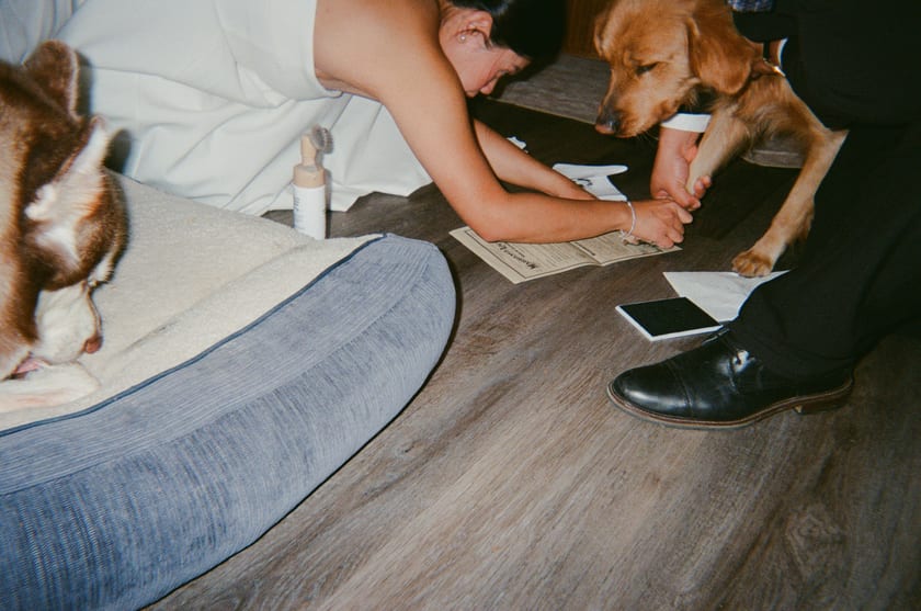 Film photo: the golden retriever adds a paw-print signature